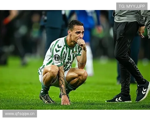 安东尼战术适配性